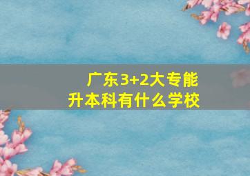 广东3+2大专能升本科有什么学校