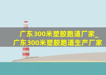 广东300米塑胶跑道厂家_广东300米塑胶跑道生产厂家