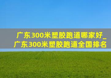 广东300米塑胶跑道哪家好_广东300米塑胶跑道全国排名