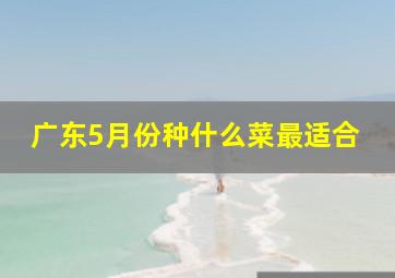 广东5月份种什么菜最适合