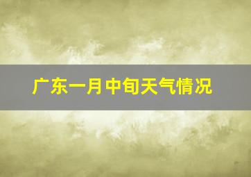 广东一月中旬天气情况