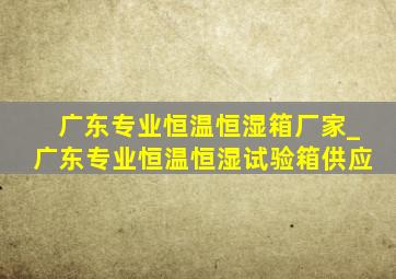 广东专业恒温恒湿箱厂家_广东专业恒温恒湿试验箱供应