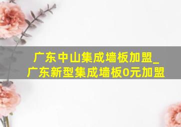 广东中山集成墙板加盟_广东新型集成墙板0元加盟