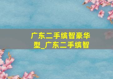 广东二手缤智豪华型_广东二手缤智