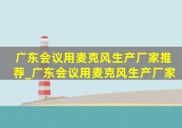 广东会议用麦克风生产厂家推荐_广东会议用麦克风生产厂家