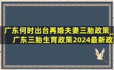 广东何时出台再婚夫妻三胎政策_广东三胎生育政策2024最新政策