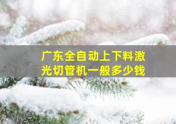 广东全自动上下料激光切管机一般多少钱