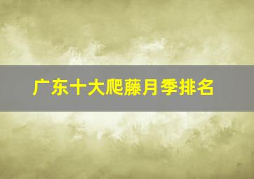 广东十大爬藤月季排名