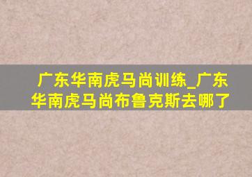 广东华南虎马尚训练_广东华南虎马尚布鲁克斯去哪了