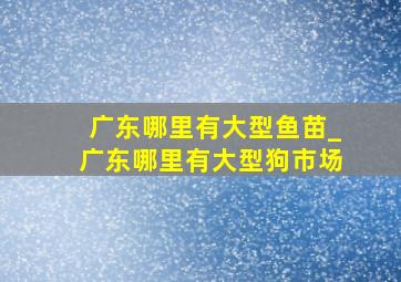 广东哪里有大型鱼苗_广东哪里有大型狗市场