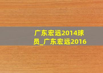 广东宏远2014球员_广东宏远2016