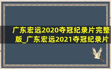 广东宏远2020夺冠纪录片完整版_广东宏远2021夺冠纪录片完整版