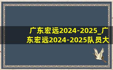 广东宏远2024-2025_广东宏远2024-2025队员大名单