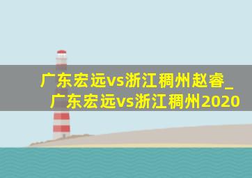 广东宏远vs浙江稠州赵睿_广东宏远vs浙江稠州2020