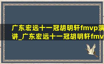 广东宏远十一冠胡明轩fmvp演讲_广东宏远十一冠胡明轩fmvp原视频