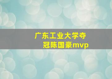 广东工业大学夺冠陈国豪mvp