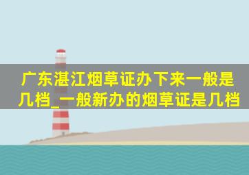 广东湛江烟草证办下来一般是几档_一般新办的烟草证是几档