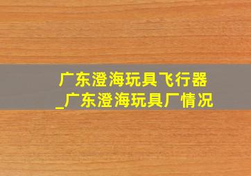 广东澄海玩具飞行器_广东澄海玩具厂情况