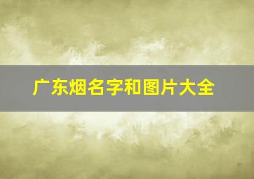 广东烟名字和图片大全