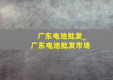 广东电池批发_广东电池批发市场