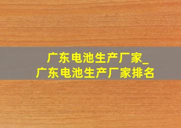 广东电池生产厂家_广东电池生产厂家排名