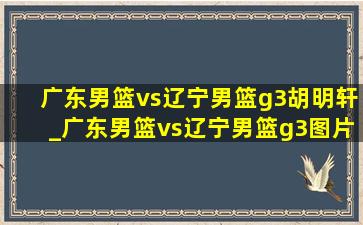 广东男篮vs辽宁男篮g3胡明轩_广东男篮vs辽宁男篮g3图片