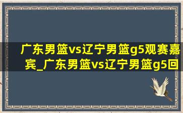 广东男篮vs辽宁男篮g5观赛嘉宾_广东男篮vs辽宁男篮g5回放完整版