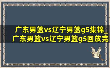 广东男篮vs辽宁男篮g5集锦_广东男篮vs辽宁男篮g5回放完整