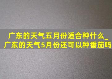 广东的天气五月份适合种什么_广东的天气5月份还可以种番茄吗