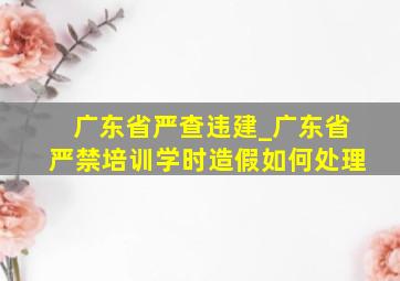 广东省严查违建_广东省严禁培训学时造假如何处理