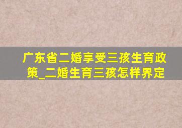 广东省二婚享受三孩生育政策_二婚生育三孩怎样界定