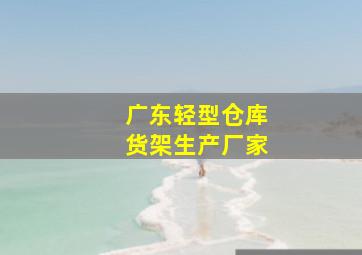 广东轻型仓库货架生产厂家