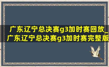 广东辽宁总决赛g3加时赛回放_广东辽宁总决赛g3加时赛完整版