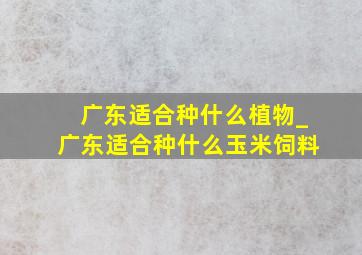 广东适合种什么植物_广东适合种什么玉米饲料