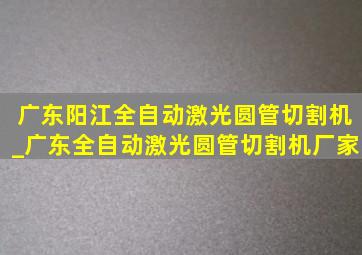 广东阳江全自动激光圆管切割机_广东全自动激光圆管切割机厂家