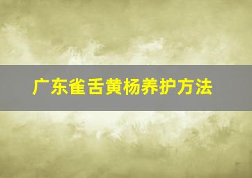 广东雀舌黄杨养护方法