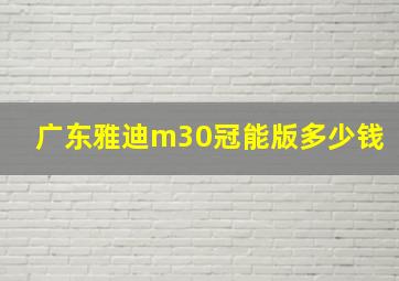 广东雅迪m30冠能版多少钱