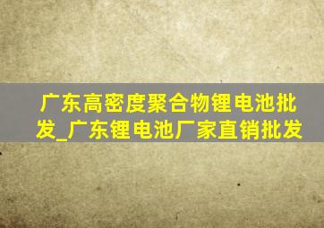 广东高密度聚合物锂电池批发_广东锂电池厂家直销批发