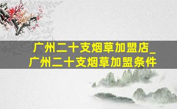 广州二十支烟草加盟店_广州二十支烟草加盟条件