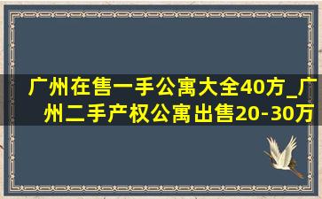 广州在售一手公寓大全40方_广州二手产权公寓出售20-30万