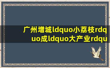 广州增城“小荔枝”成“大产业”