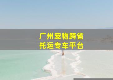 广州宠物跨省托运专车平台