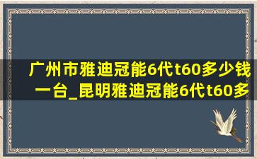 广州市雅迪冠能6代t60多少钱一台_昆明雅迪冠能6代t60多少钱