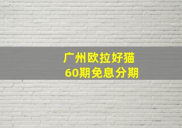 广州欧拉好猫60期免息分期