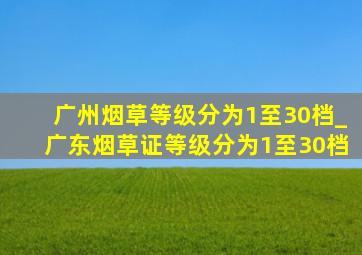 广州烟草等级分为1至30档_广东烟草证等级分为1至30档