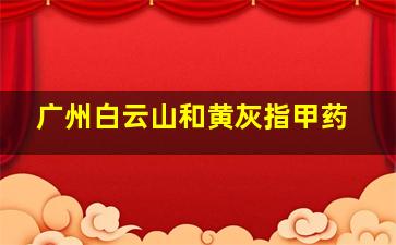 广州白云山和黄灰指甲药