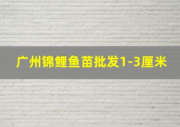 广州锦鲤鱼苗批发1-3厘米