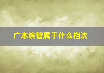 广本缤智属于什么档次