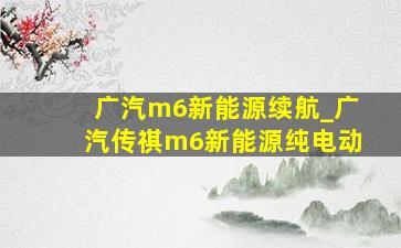 广汽m6新能源续航_广汽传祺m6新能源纯电动