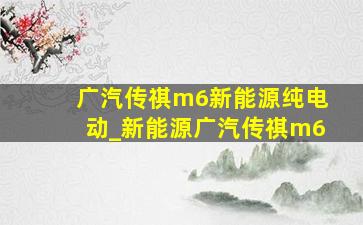 广汽传祺m6新能源纯电动_新能源广汽传祺m6